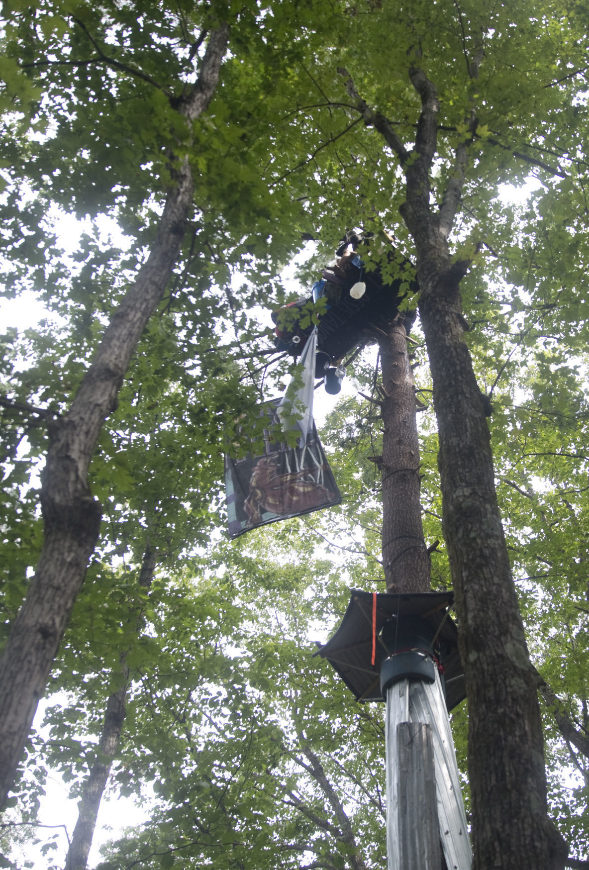 One-year anniversary of tree-sit